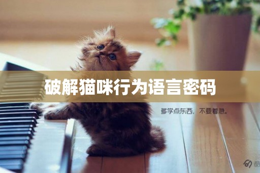 破解貓咪行為語言密碼