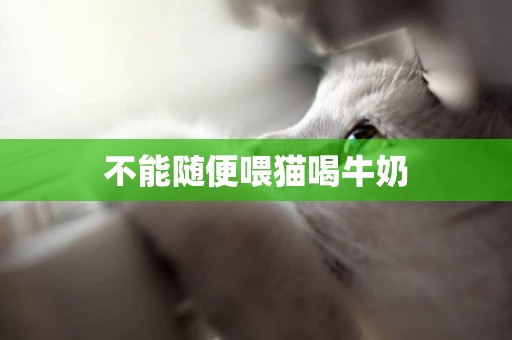 不能隨便喂貓喝牛奶