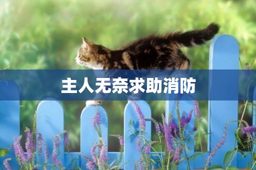主人無奈求助消防