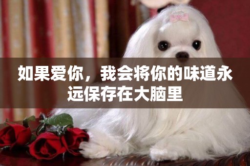如果愛你，我會將你的味道永遠保存在大腦里