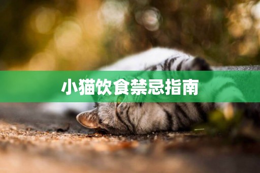 小貓飲食禁忌指南