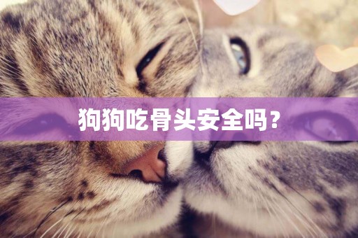 狗狗吃骨頭安全嗎？