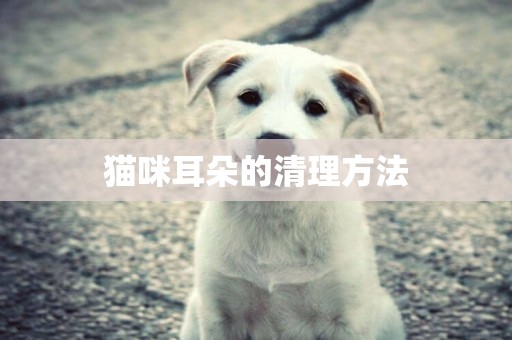 貓咪耳朵的清理方法