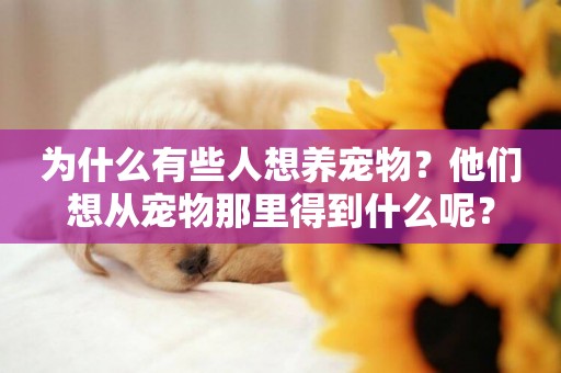 為什么有些人想養寵物？他們想從寵物那里得到什么呢？