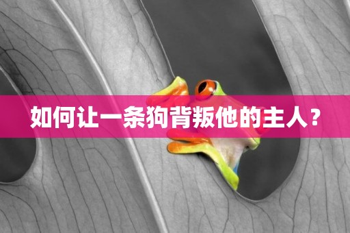 如何讓一條狗背叛他的主人？