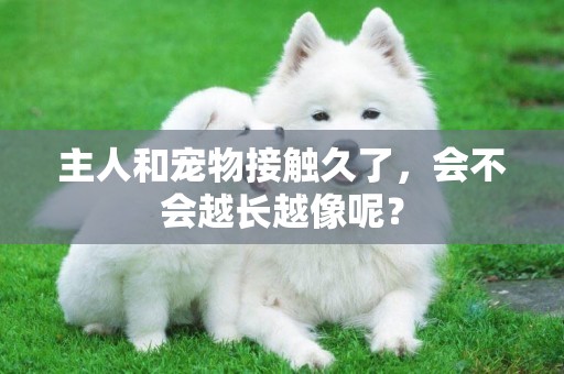 主人和寵物接觸久了，會不會越長越像呢？