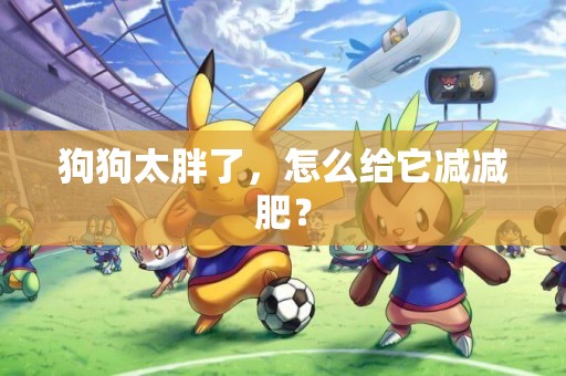 狗狗太胖了，怎么給它減減肥？