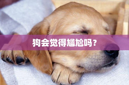 狗會覺得尷尬嗎？
