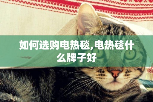 如何選購電熱毯,電熱毯什么牌子好