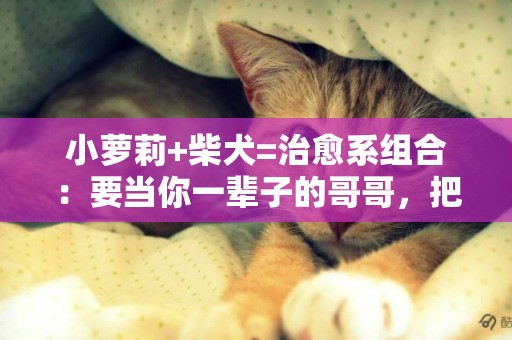 小蘿莉+柴犬=治愈系組合：要當你一輩子的哥哥，把你寵成小公主！