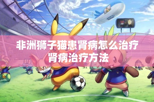 非洲獅子貓患腎病怎么治療 腎病治療方法