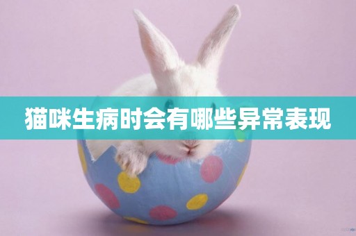 貓咪生病時會有哪些異常表現