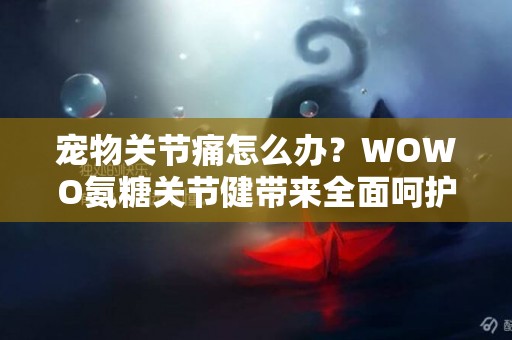 寵物關節痛怎么辦？WOWO氨糖關節健帶來全面呵護