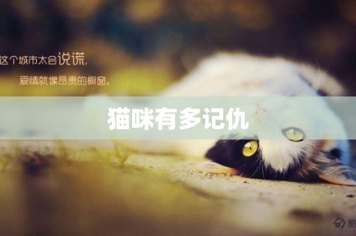 貓咪有多記仇