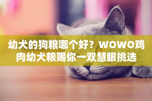 幼犬的狗糧哪個好？WOWO雞肉幼犬糧賜你一雙慧眼挑選