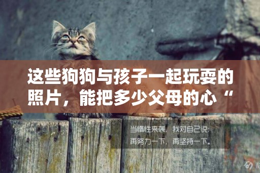這些狗狗與孩子一起玩耍的照片，能把多少父母的心“融化”？
