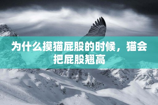 為什么摸貓屁股的時候，貓會把屁股翹高