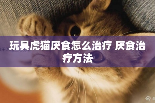 玩具虎貓厭食怎么治療 厭食治療方法