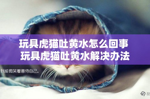 玩具虎貓吐黃水怎么回事 玩具虎貓吐黃水解決辦法