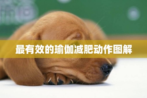 最有效的瑜伽減肥動作圖解