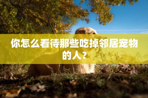 你怎么看待那些吃掉鄰居寵物的人？