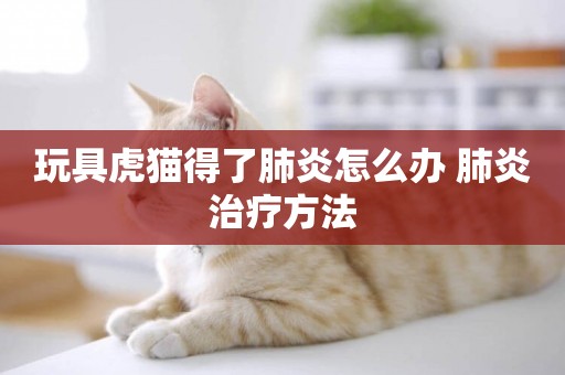 玩具虎貓得了肺炎怎么辦 肺炎治療方法