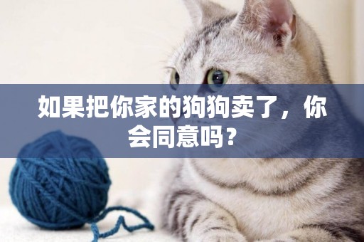 如果把你家的狗狗賣了，你會同意嗎？