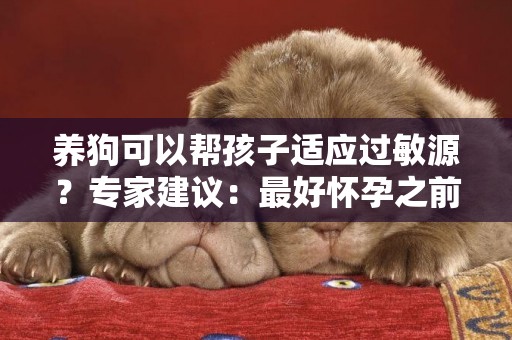 養狗可以幫孩子適應過敏源？專家建議：最好懷孕之前就養！
