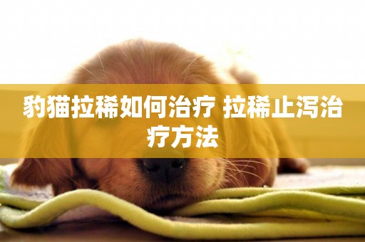 豹貓拉稀如何治療 拉稀止瀉治療方法