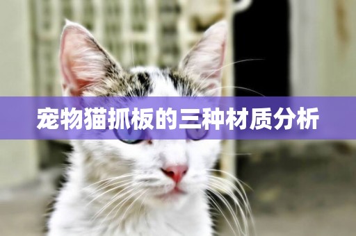 寵物貓抓板的三種材質分析