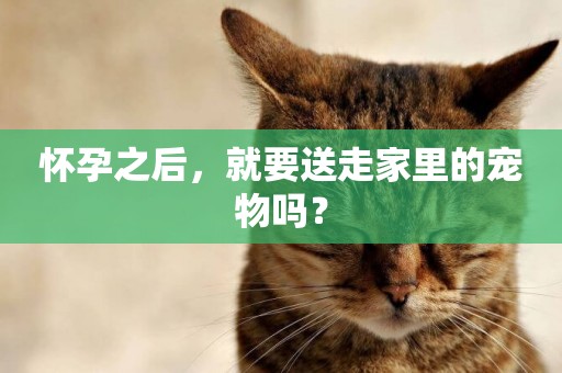 懷孕之后，就要送走家里的寵物嗎？