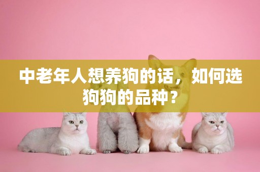 中老年人想養狗的話，如何選狗狗的品種？