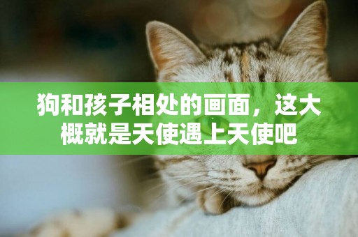 狗和孩子相處的畫面，這大概就是天使遇上天使吧