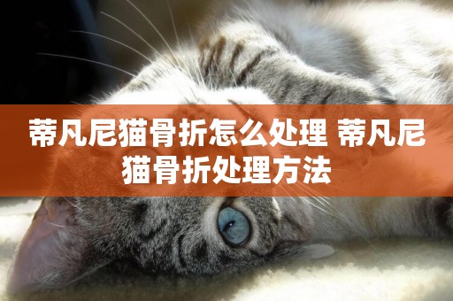 蒂凡尼貓骨折怎么處理 蒂凡尼貓骨折處理方法