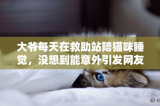 大爺每天在救助站陪貓咪睡覺，沒想到能意外引發網友的捐款