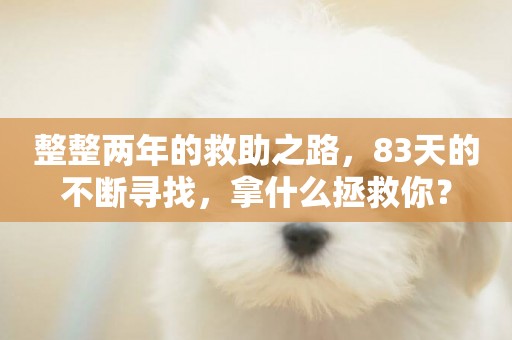 整整兩年的救助之路，83天的不斷尋找，拿什么拯救你？