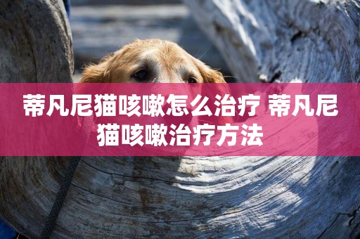 蒂凡尼貓咳嗽怎么治療 蒂凡尼貓咳嗽治療方法