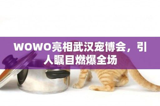 WOWO亮相武漢寵博會，引人矚目燃爆全場
