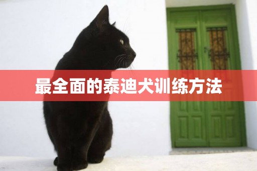 最全面的泰迪犬訓練方法