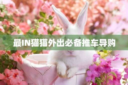 最IN貓貓外出必備推車導購