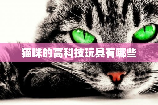 貓咪的高科技玩具有哪些