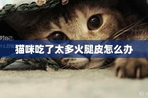 貓咪吃了太多火腿皮怎么辦