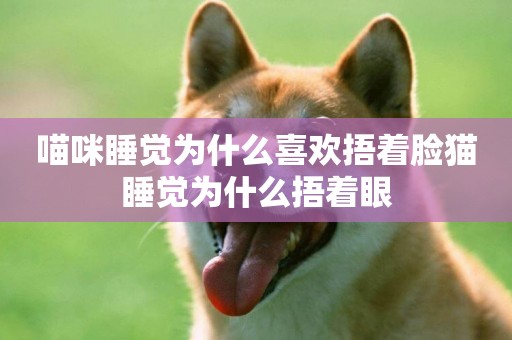 喵咪睡覺為什么喜歡捂著臉貓睡覺為什么捂著眼