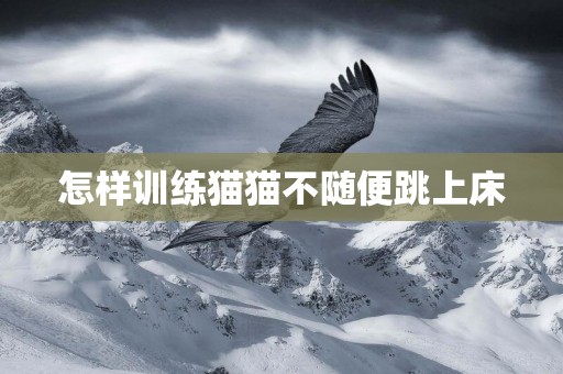 怎樣訓練貓貓不隨便跳上床