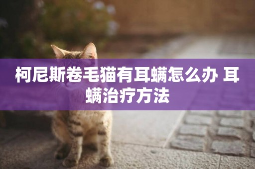 柯尼斯卷毛貓有耳螨怎么辦 耳螨治療方法