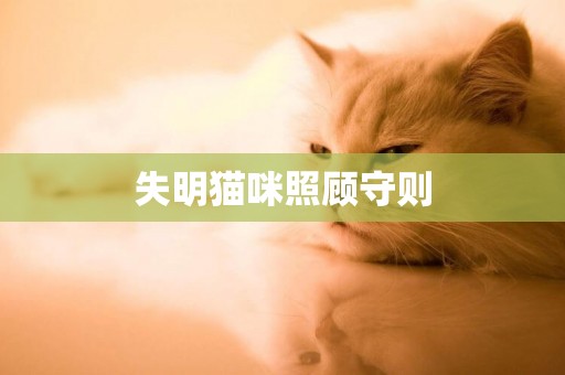 失明貓咪照顧守則