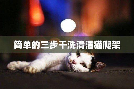 簡單的三步干洗清潔貓爬架