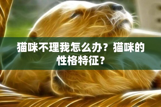 貓咪不理我怎么辦？貓咪的性格特征？