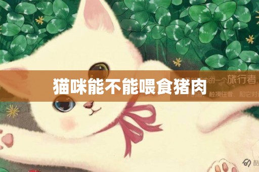貓咪能不能喂食豬肉