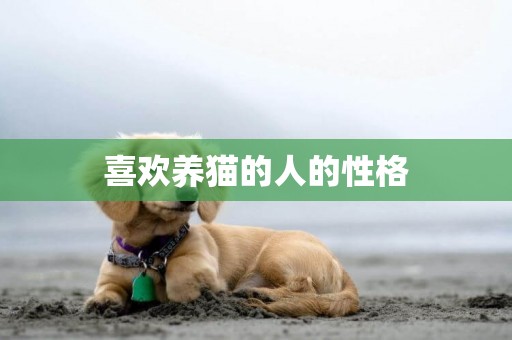 喜歡養貓的人的性格